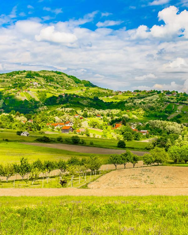 Green Stay Croatia Green Stay Croatia